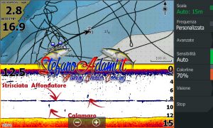 Marcature eco calamari HDS e Tm150 pescati con affondatore idrodinamico 