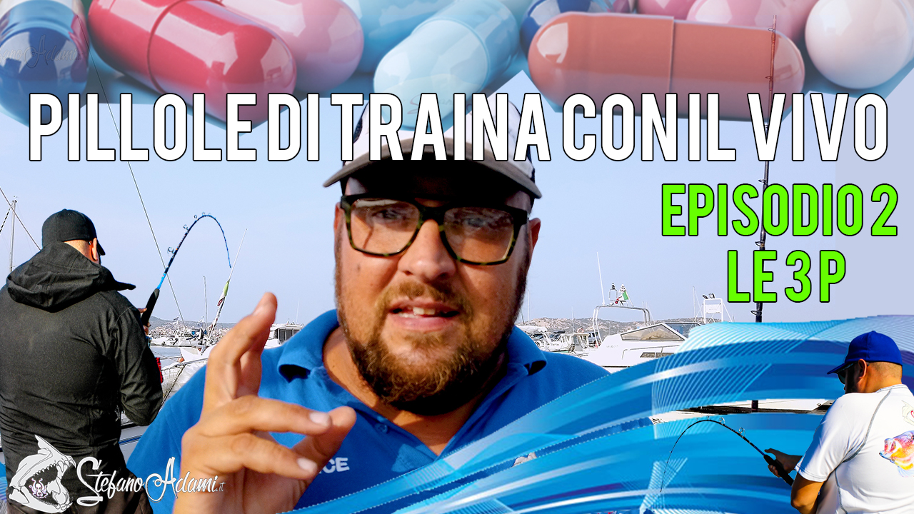 Pillole di traina col vivo episodio2 la regola delle tre P