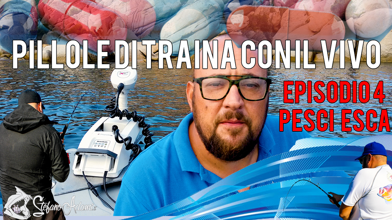 Pillole di traina col vivo 4_l'esca