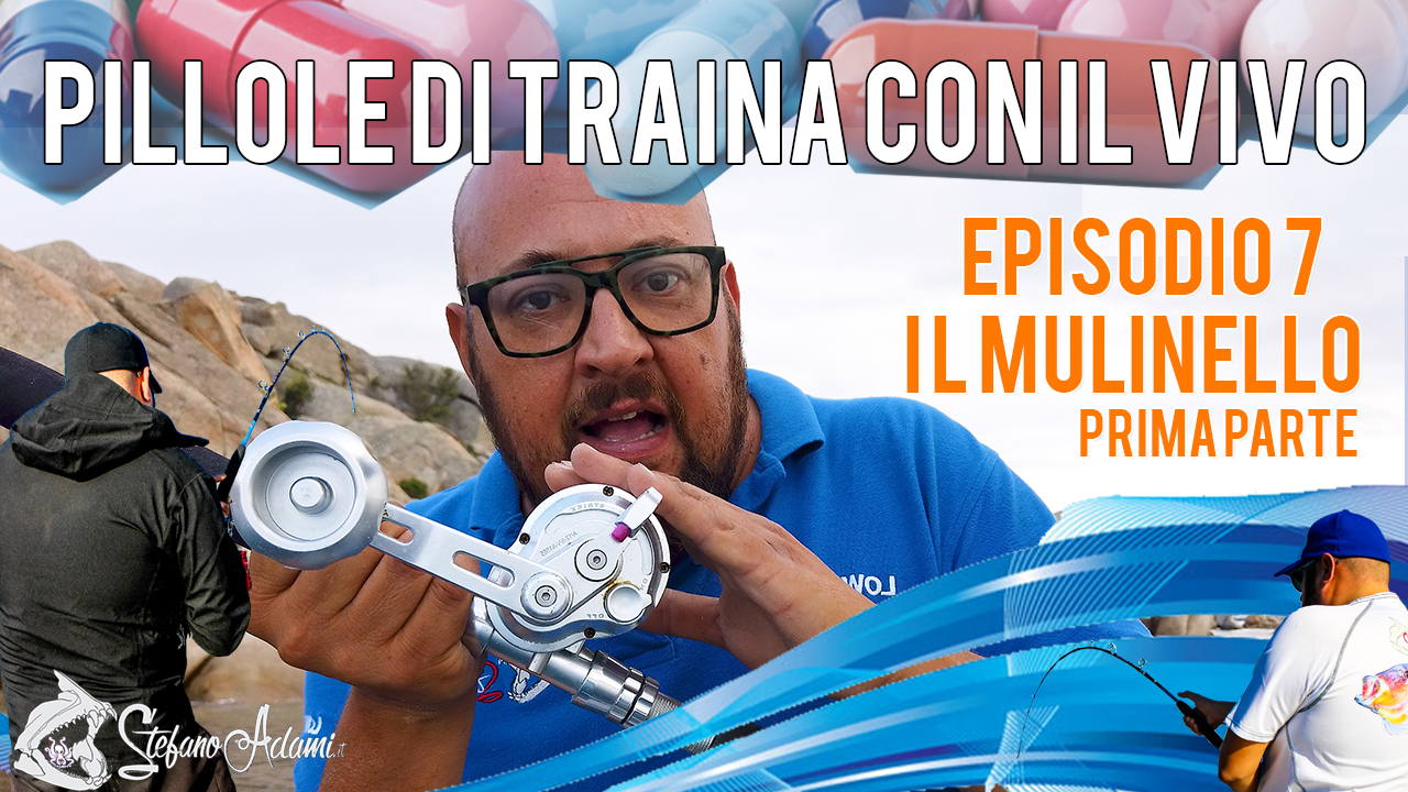 Pillole di traina col vivo il mulinello 1/3 Come preparare un mulinello, come imbobinarlo