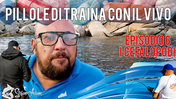 Traina col vivo in pillole i cefalopodi Ep6