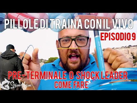 Preparare il preterminale, nodo PR , piombo guardiano scorrevole. Traina col vivo in pillole ep9