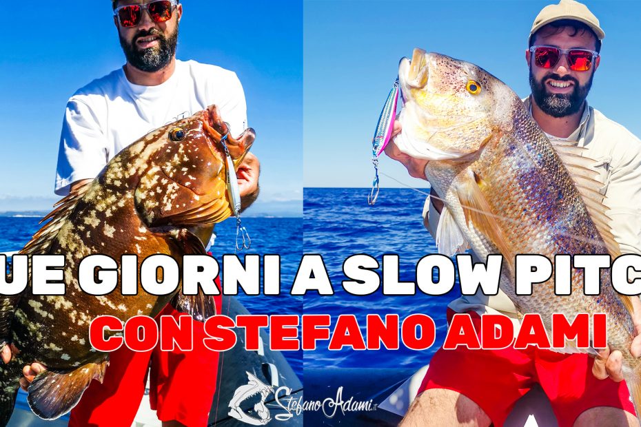 Due giorni di Slow pitch Jigging con Stefano Adami a Palau, tra dentici e cernie